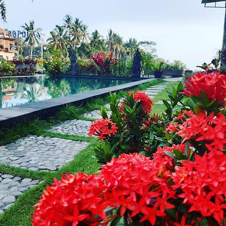 Villa Popolan And Guest House Ubud  Luaran gambar