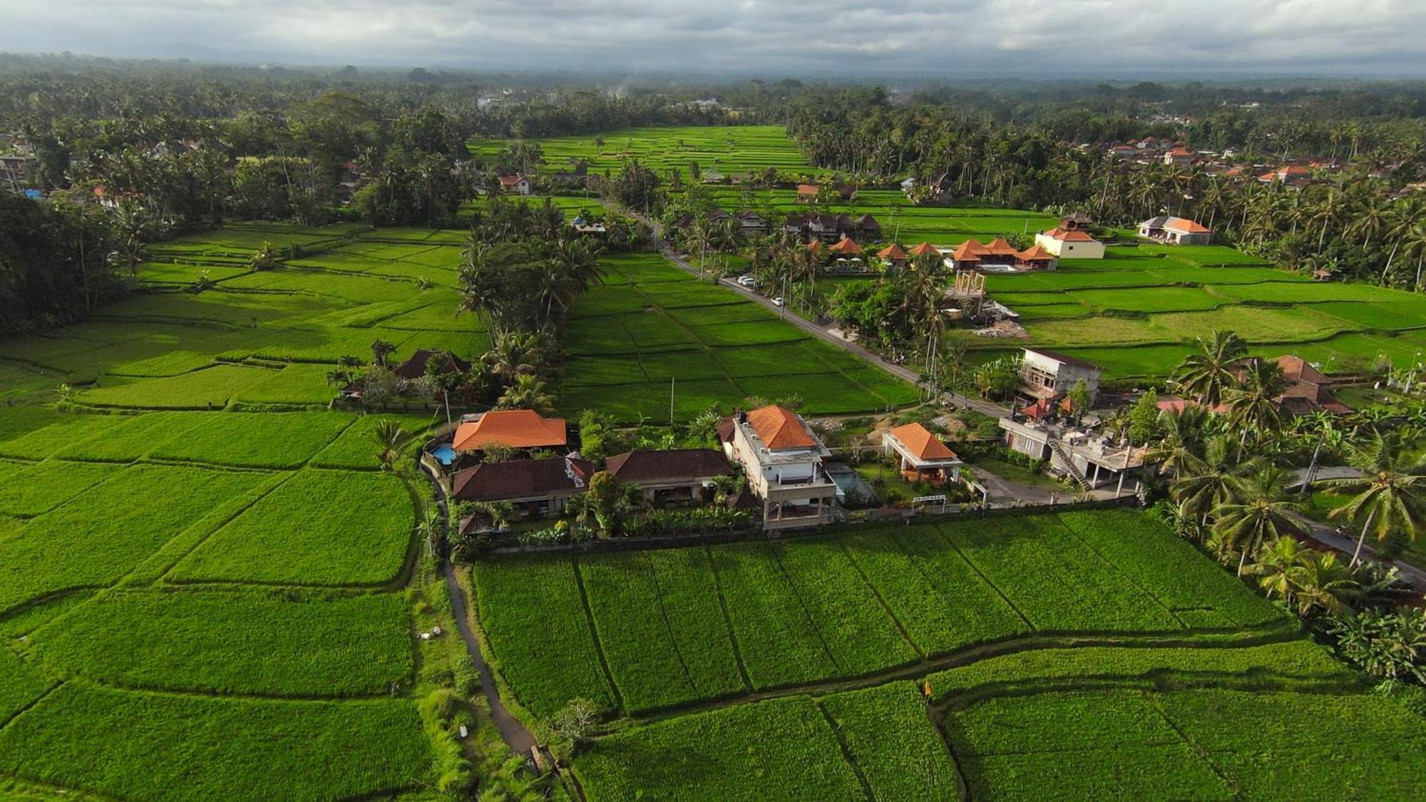 Villa Popolan And Guest House Ubud  Luaran gambar